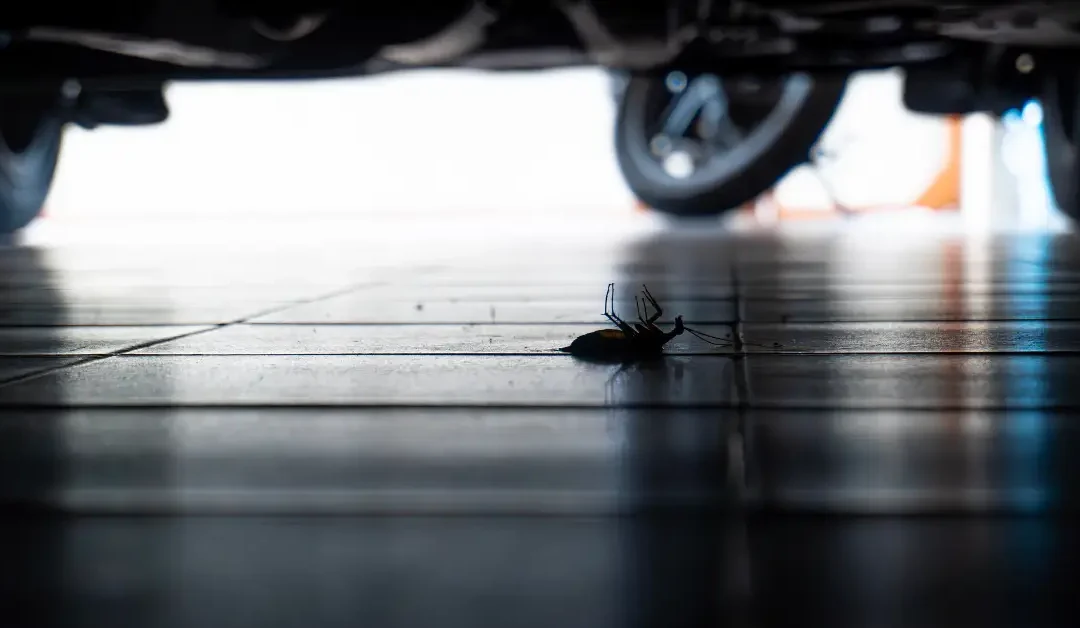 How Pests and Rodents Get Into Your Garage