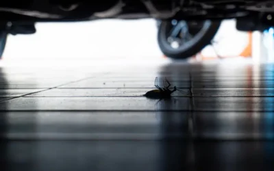 How Pests and Rodents Get Into Your Garage